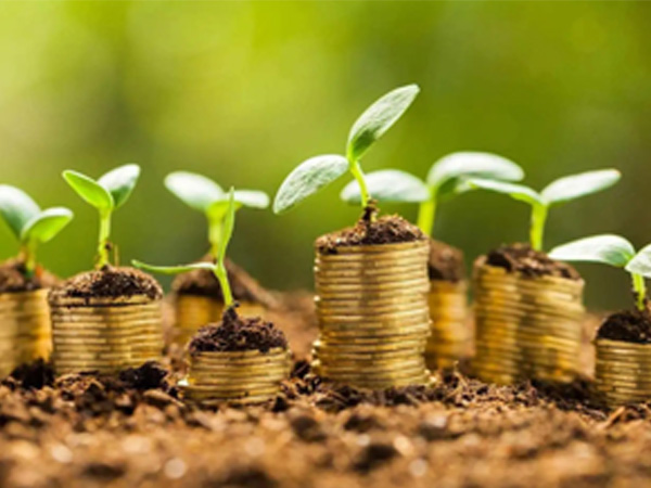 以投資名義借錢是否構成詐騙？