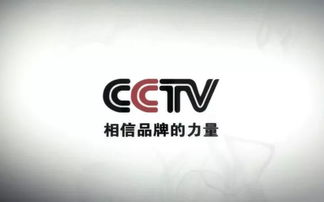 雷軍 努力工作，克制貪婪——數(shù)字廣告時代的智慧箴言